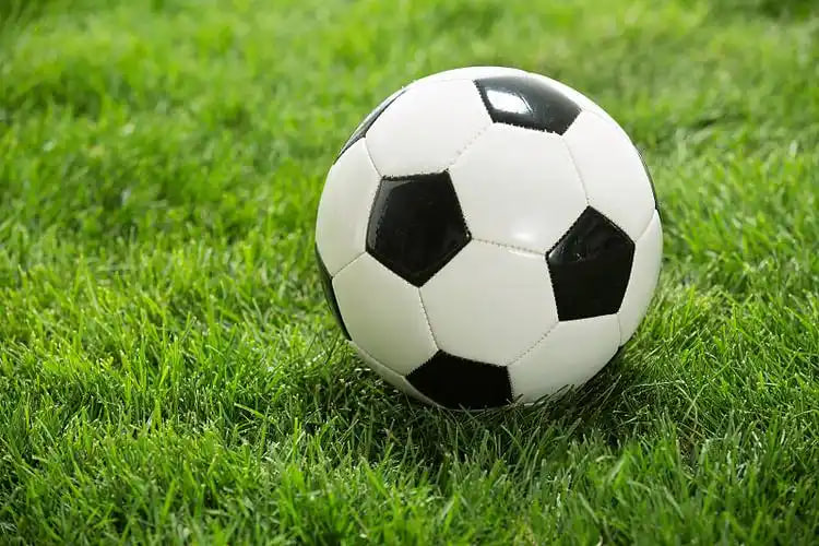 篮球比分移动版二维码下载